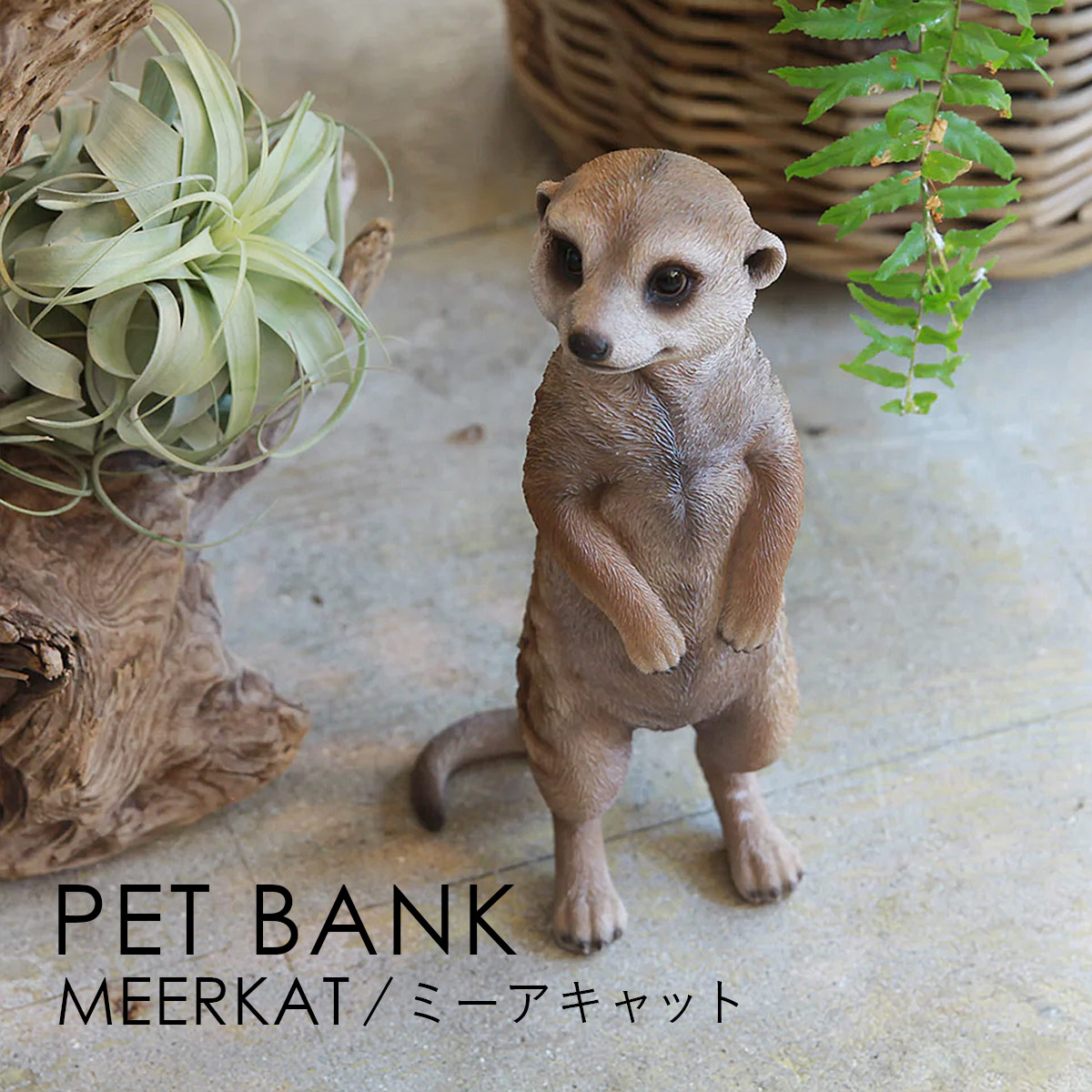 PET BANK �y�b�g�o���N MEERKAT �~�[�A�L���b�g �I�u�W�F ������ magnet �}�O�l�b�g