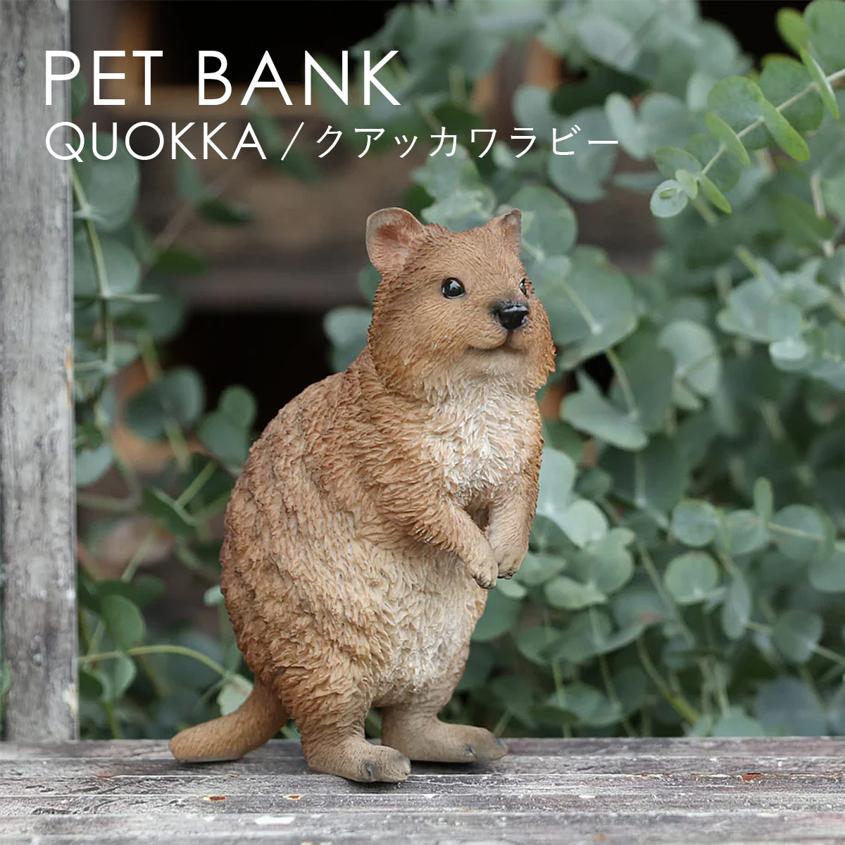 PET BANK �y�b�g�o���N QUOKKA �N�A�b�J�����r�[ �I�u�W�F ������ magnet �}�O�l�b�g
