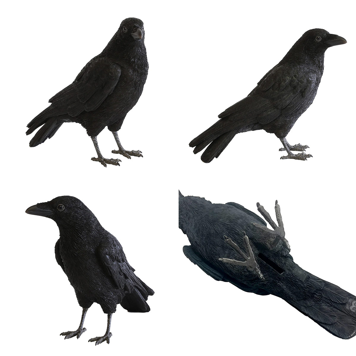 magnet PET BANK ペットバンク CARRION CROW ハシボソカラス オブジェ 