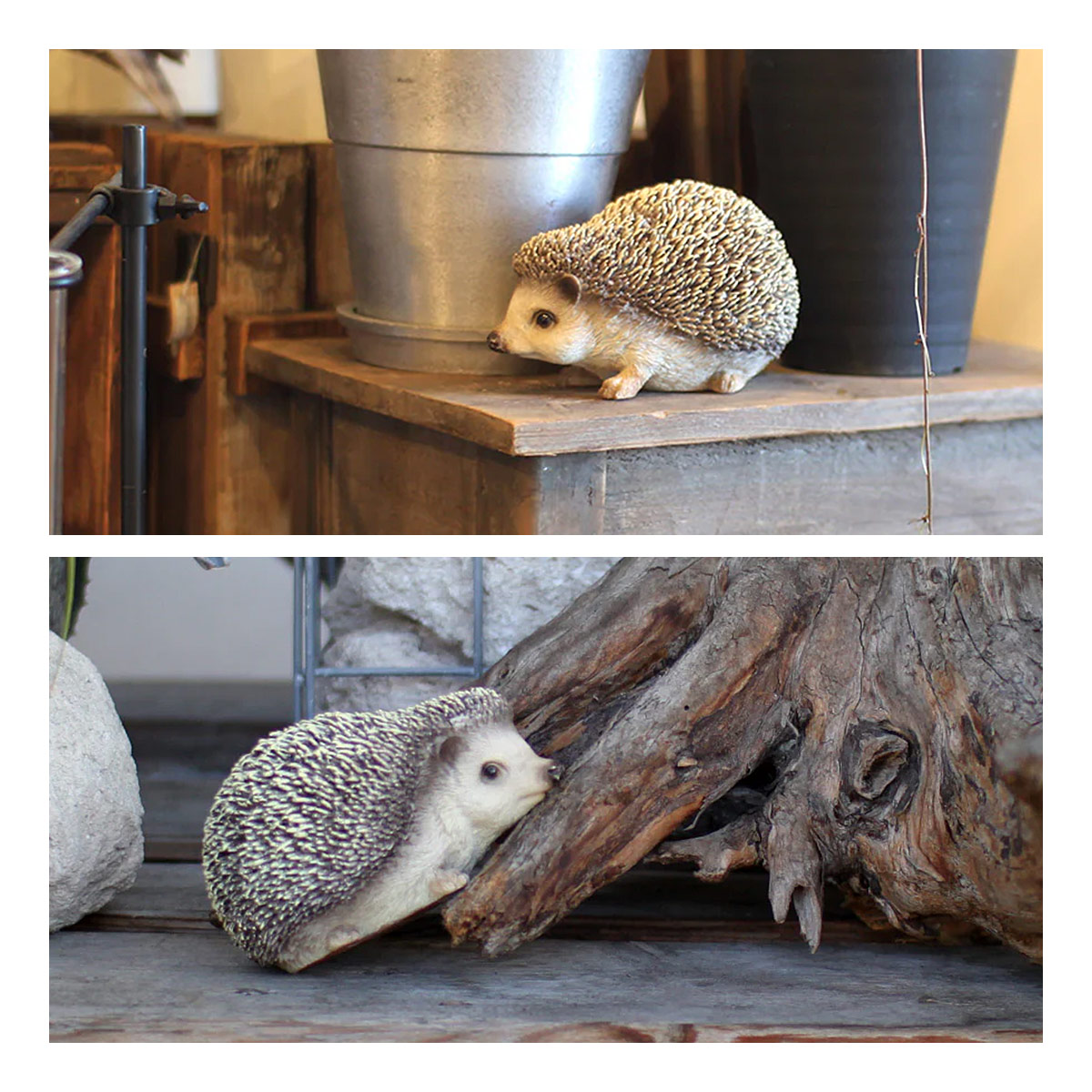 magnet PET BANK ペットバンク HEDGEHOG ハリネズミ オブジェ 貯金箱