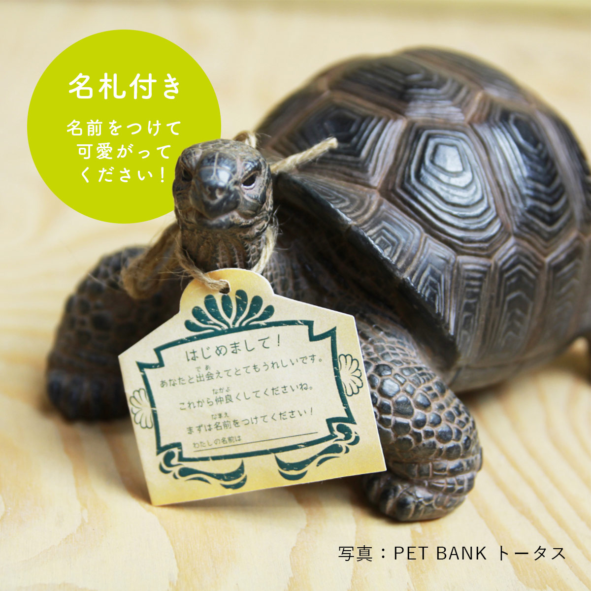 magnet PET BANK ペットバンク OTTER カワウソ オブジェ 貯金箱 