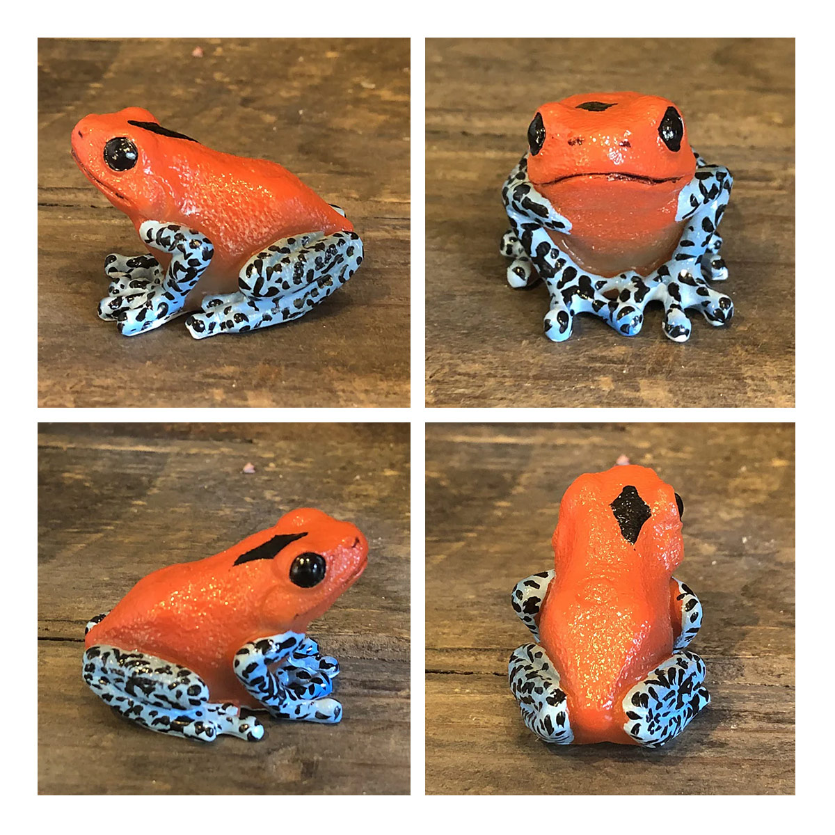 magnet REPTILES MAG レプタイルズ マグ ヤドクガエル アマガエル