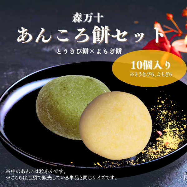 送料込み】あんころ餅セット（10個入）森万十 手作り 阿蘇産 つきたて