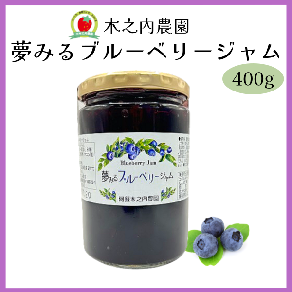 木之内農園ブルーベリージャム400g