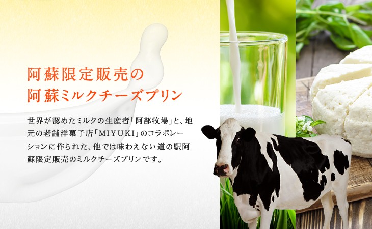 阿蘇限定販売の阿蘇ミルクチーズプリン