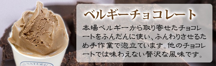 ベルギーチョコレートアイス