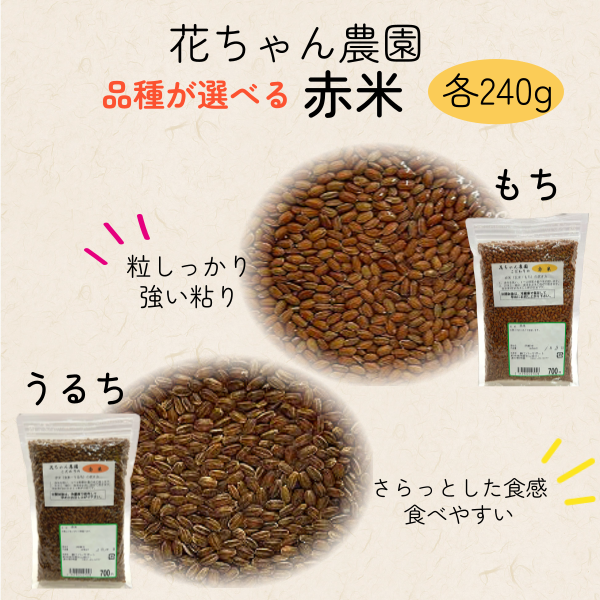 エバーサポート_赤米