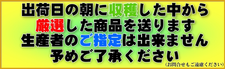 その日に出荷注意事項