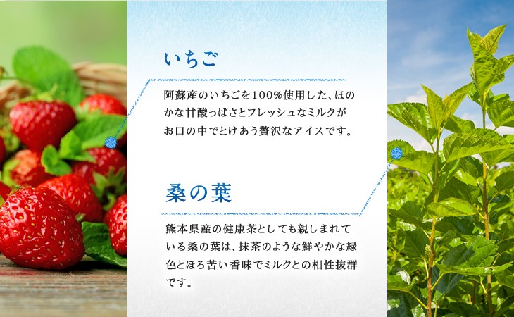 イチゴと桑の葉