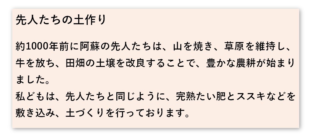 熊本阿蘇市有機栽培玄米焼酎5