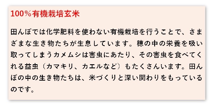 熊本阿蘇市有機栽培玄米焼酎11