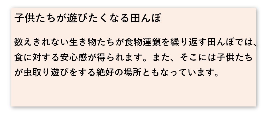 熊本阿蘇市有機栽培玄米焼酎13