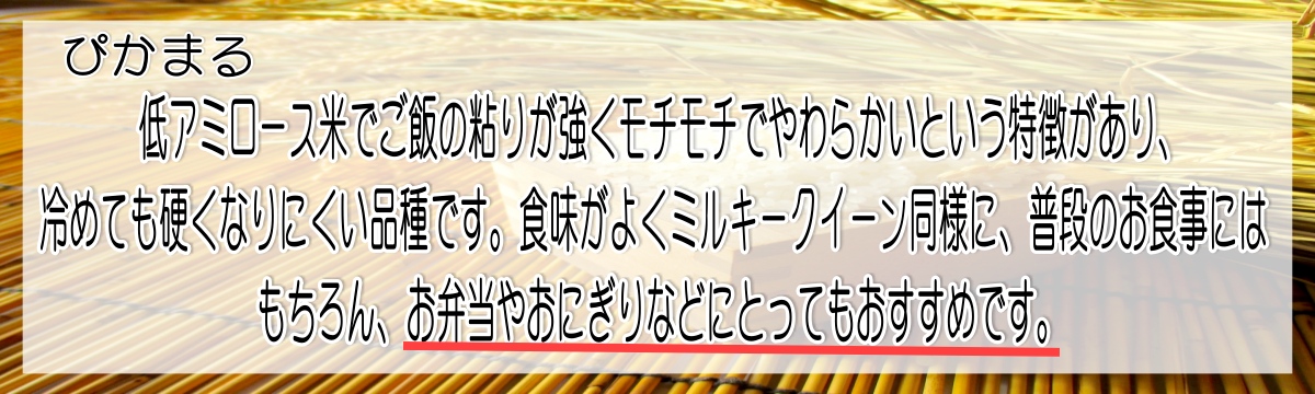 令和6年産新米美味しいお米の秘密