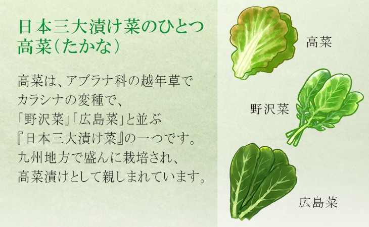 日本三大漬け菜の高菜（たかな）