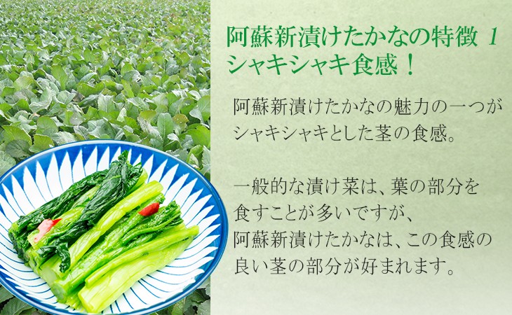 阿蘇新漬けたかなの特徴1 シャキシャキ食感