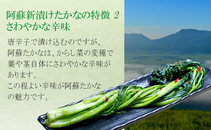 阿蘇新漬けたかなの特徴2 さわやかな辛味