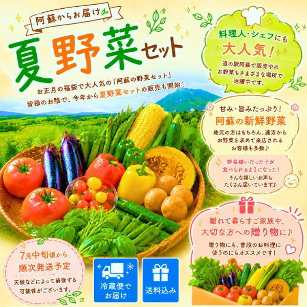 【阿蘇のやさい】【予約】夏野菜セット 熊本県 ...の詳細画像2