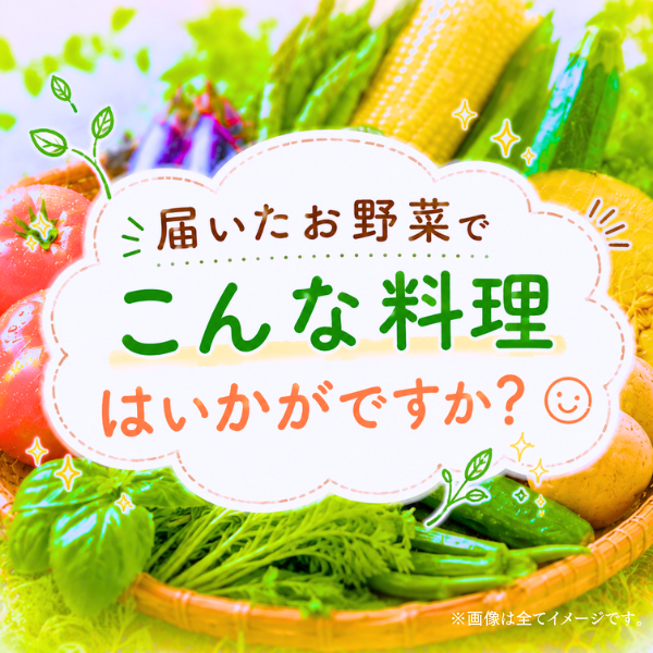 【阿蘇のやさい】【予約】夏野菜セット 熊本県 ...の詳細画像3