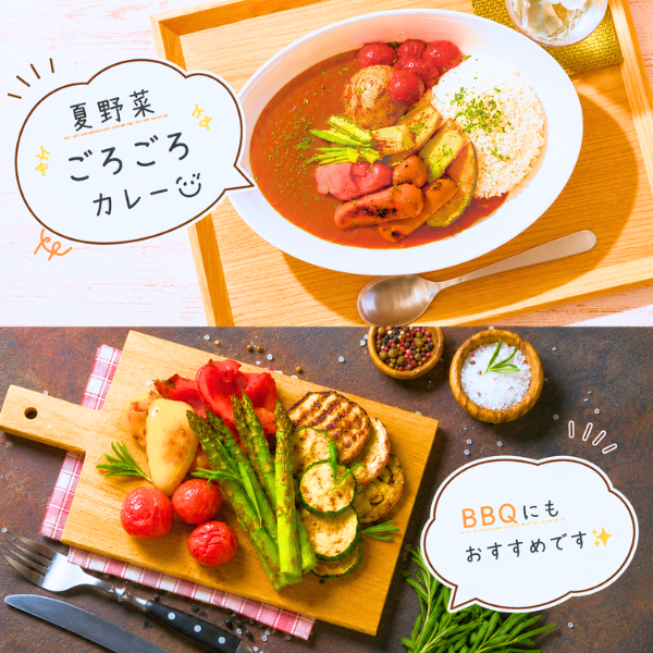 【阿蘇のやさい】【予約】夏野菜セット 熊本県 ...の詳細画像4