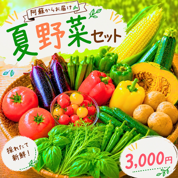 【阿蘇のやさい】【予約】夏野菜セット 熊本県 ...の詳細画像1