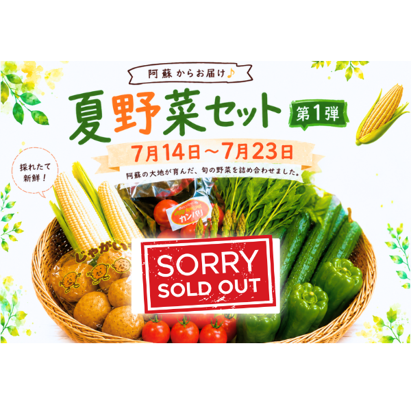 【セット内容変更中】【順次出荷】阿蘇のやさい ...の詳細画像3