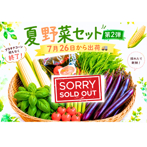 【セット内容変更中】【順次出荷】阿蘇のやさい ...の詳細画像2