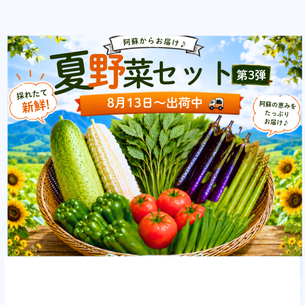 【セット内容変更中】【順次出荷】阿蘇のやさい ...の詳細画像1