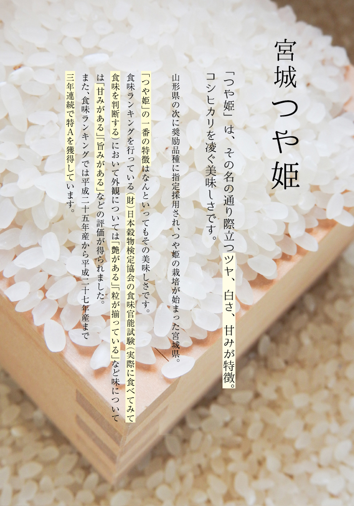 宮城県 つや姫 R6年産 10kg 白米 つや姫 期間限定セール 米 10kg 白米 お米 6年産 宮城県産 送料
