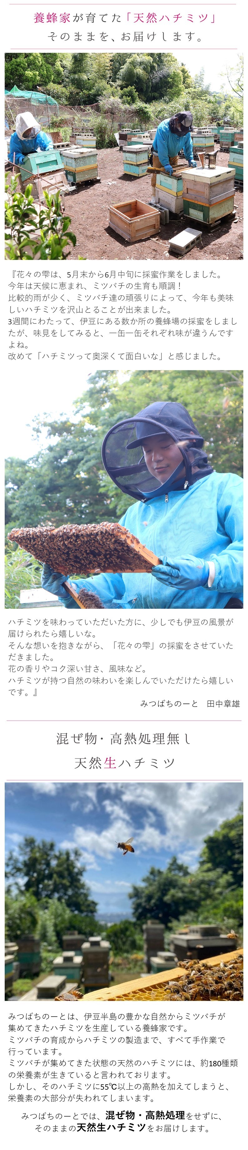 はちみつ 国産 蜂蜜 ハチミツ 純粋 非加熱 花々の雫 瓶タイプ 1.2kg