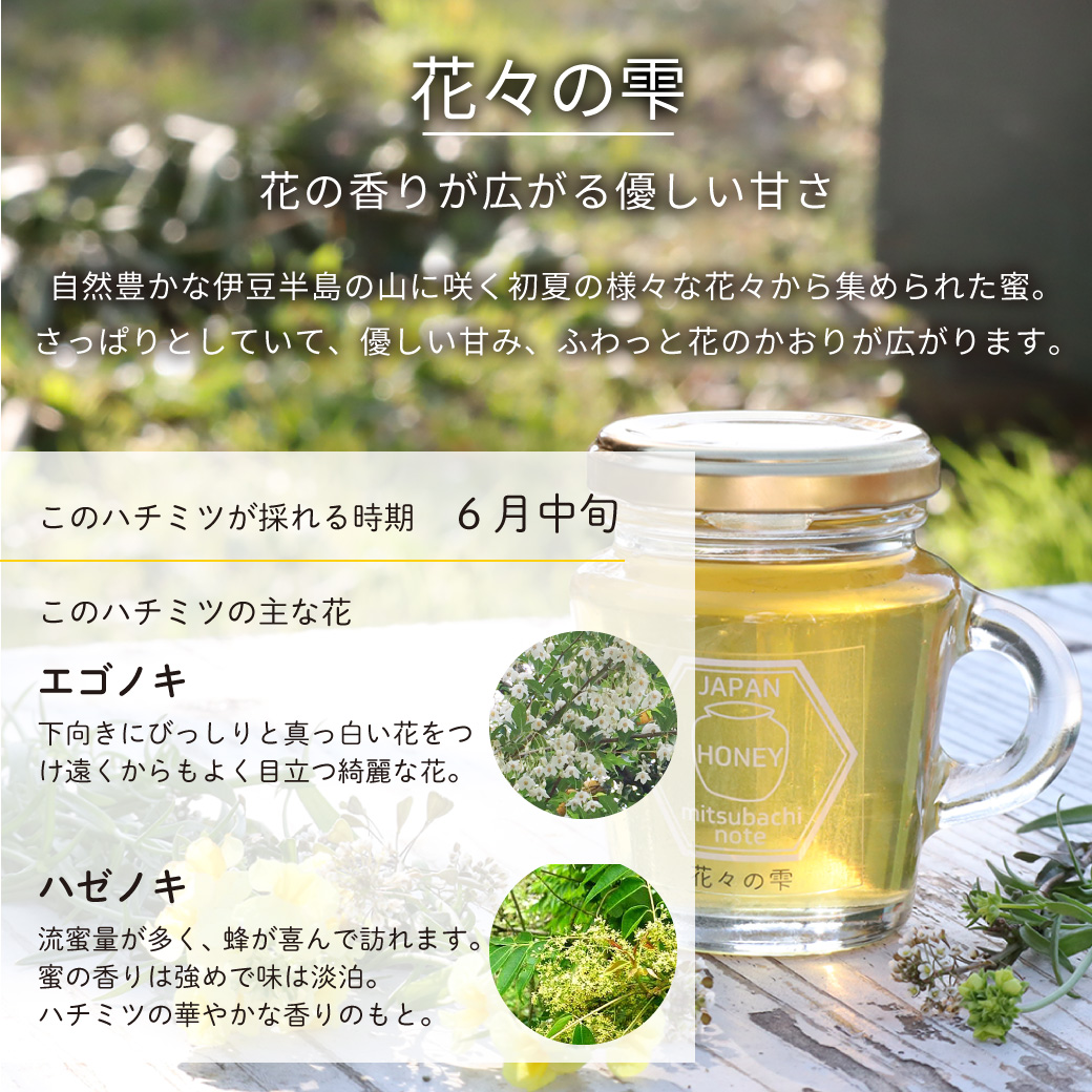 【限定結晶品】国産 無添加 非加熱　純粋生蜂蜜　山の花々のはちみつ　600g×2 つかもと養蜂場 山の花々のはちみつ ( 600g ) はちみつ 百花蜜