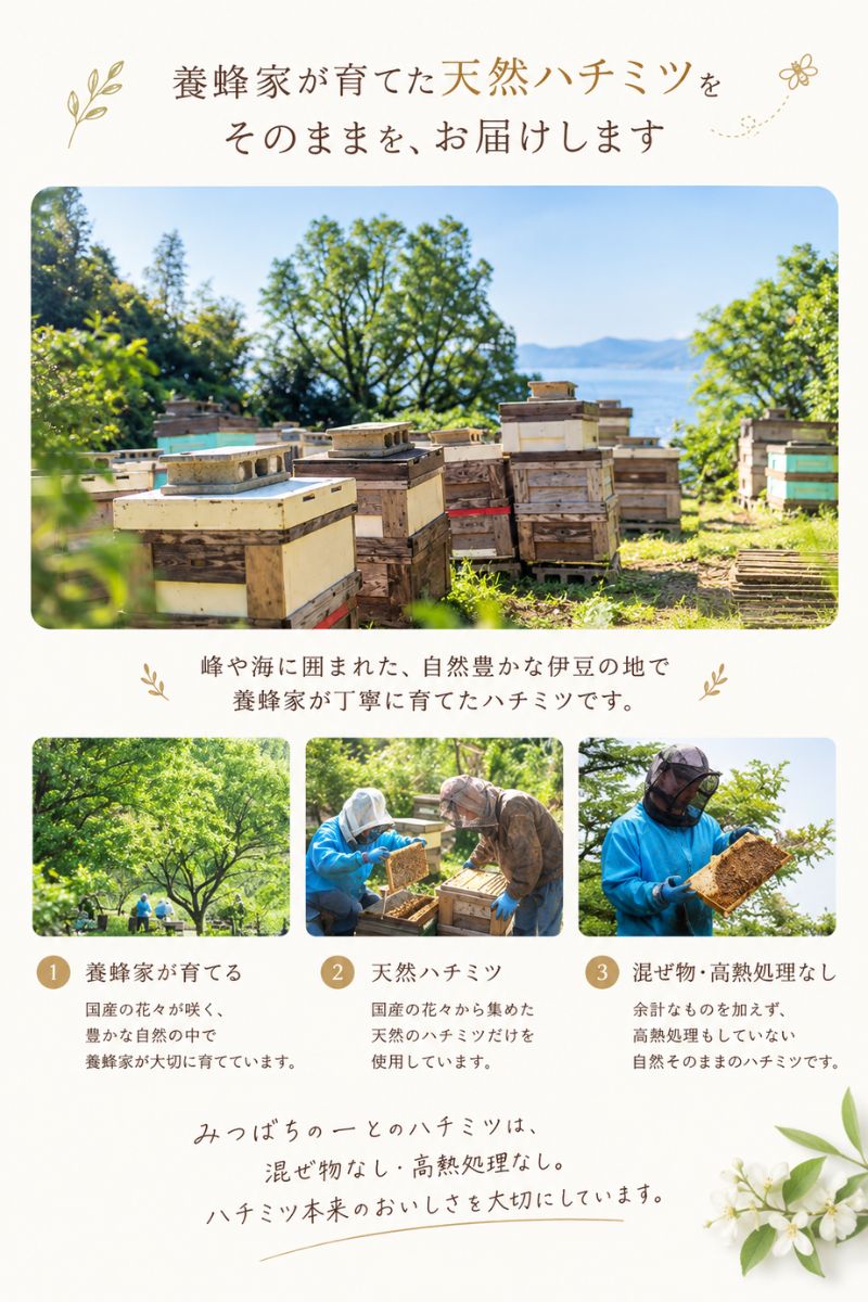はちみつ 国産 蜂蜜 ハチミツ 純粋 非加熱 花々の雫 チューブタイプ