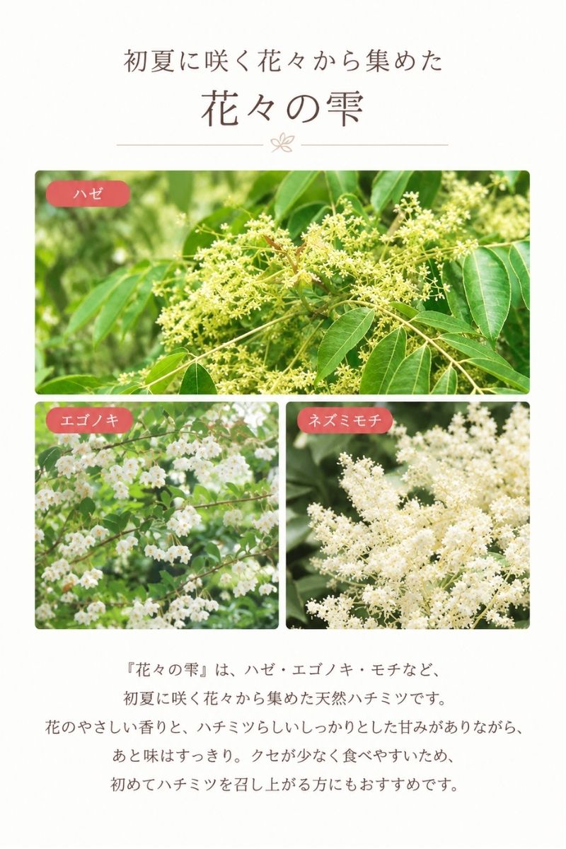 はちみつ 国産 蜂蜜 ハチミツ 純粋 非加熱 花々の雫 チューブタイプ