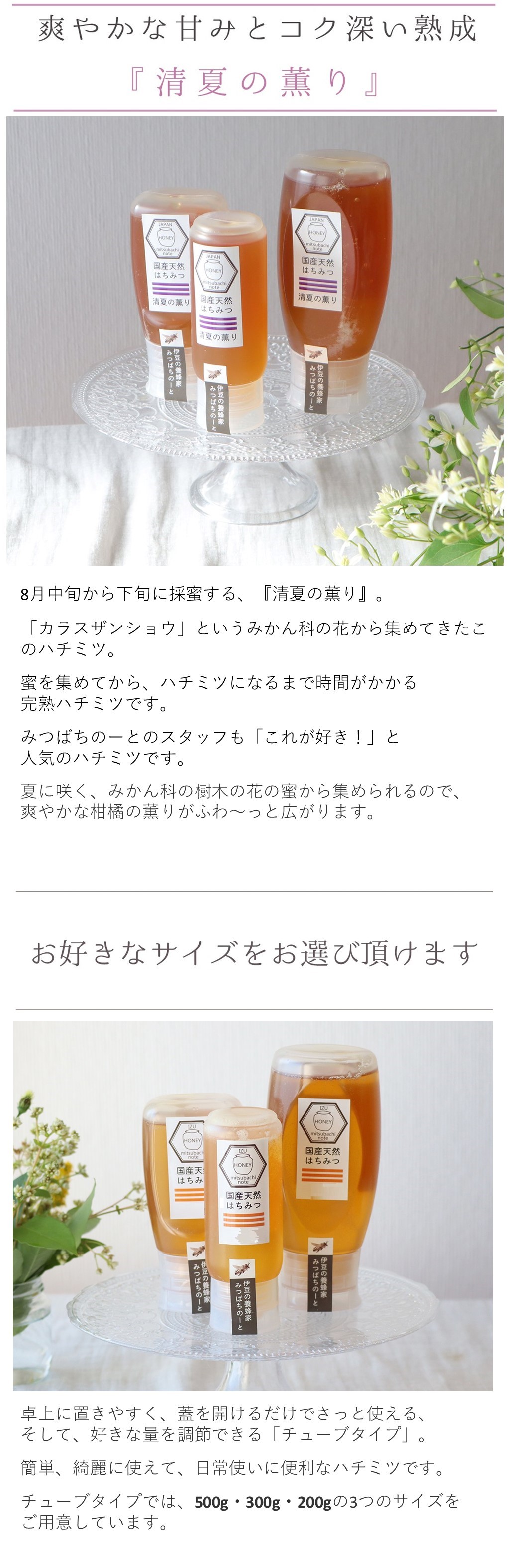 チューブタイプ ハチミツ 伊豆の養蜂家