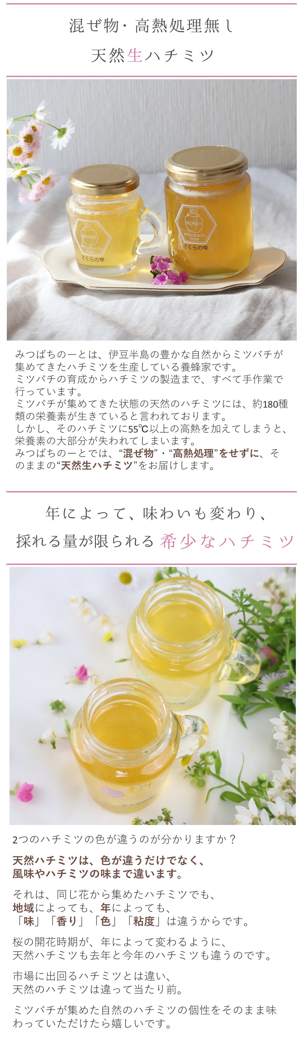 はちみつ 国産 蜂蜜 ハチミツ 純粋 非加熱 さくらの雫 チューブタイプ