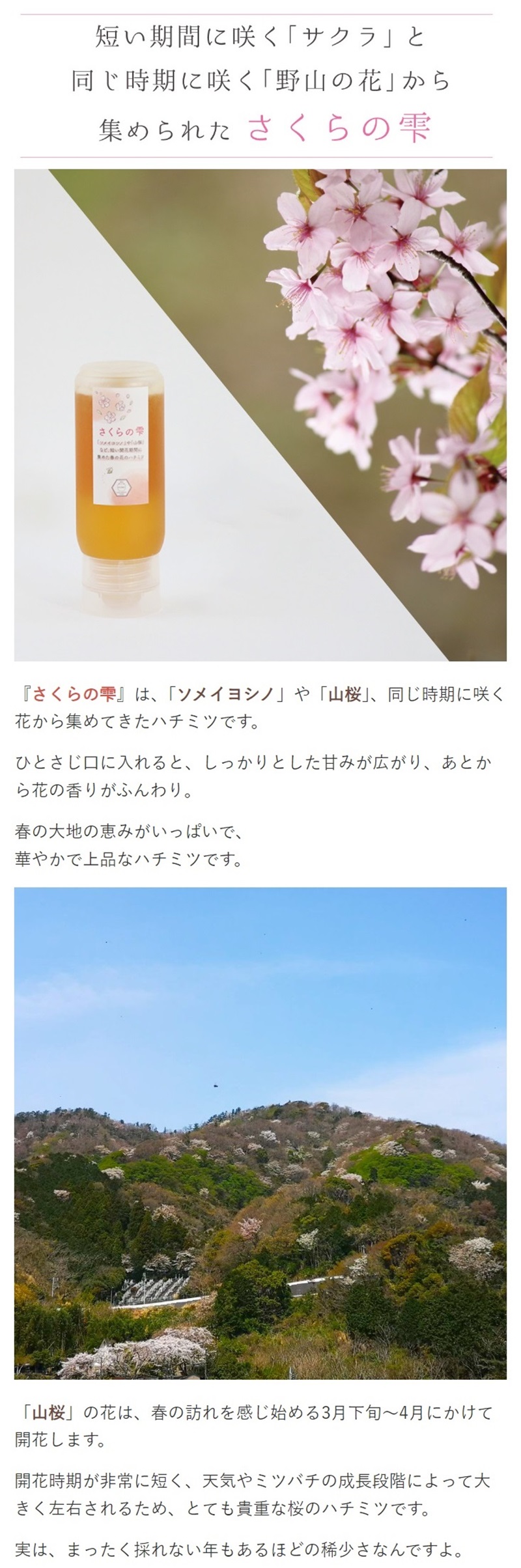 はちみつ 国産 蜂蜜 ハチミツ 純粋 非加熱 さくらの雫 チューブタイプ