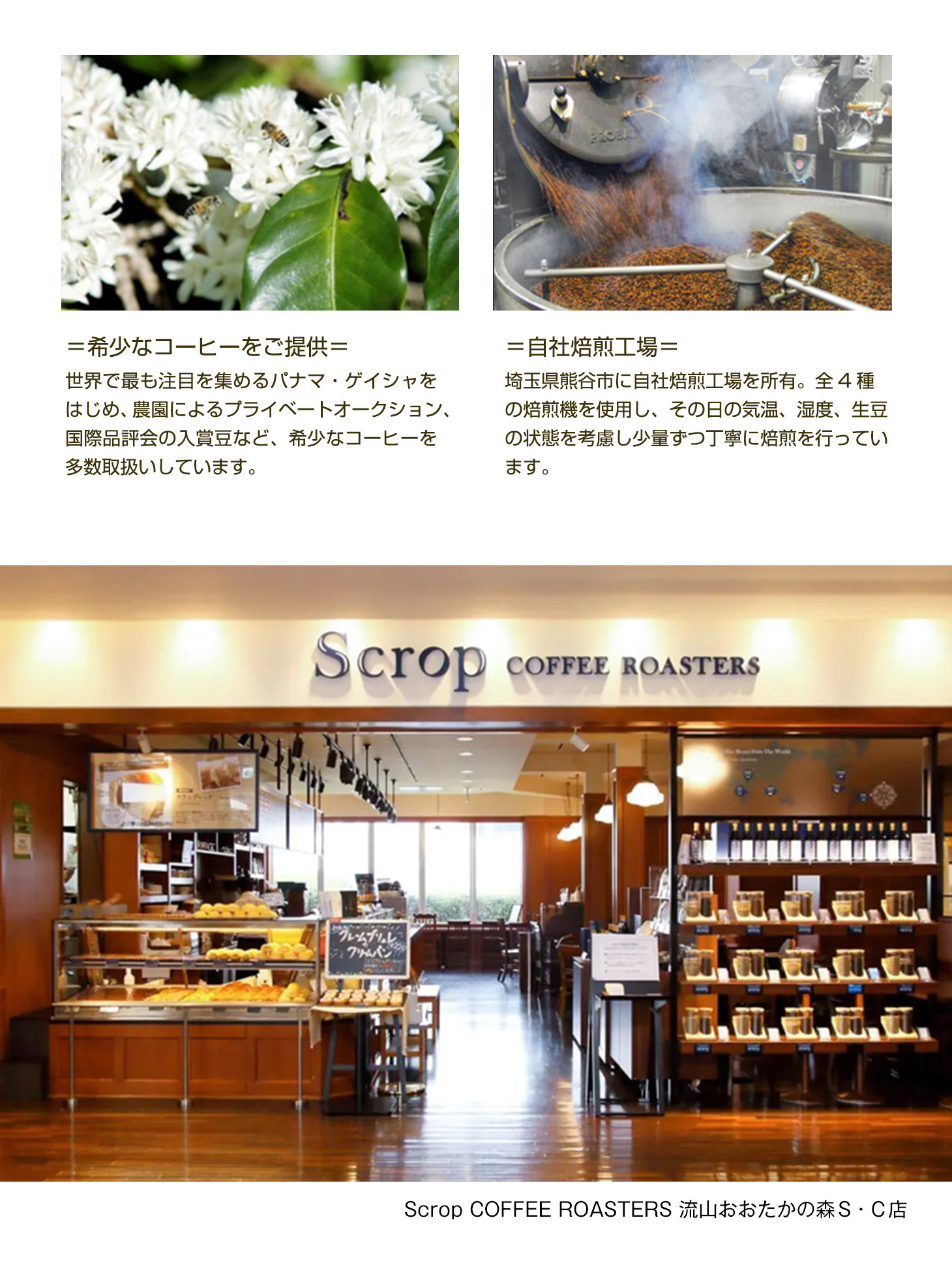 カフェオレ ギフト プレゼント ミルク チルドコーヒー 12本