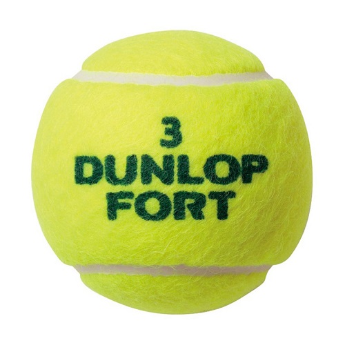 ダンロップ DUNLOP DUNLOP FORT ダンロップ フォート 1缶2球入 SDGS テニス 硬式ボール 公認球 DFFYL2TIN｜mitsuhashi｜02