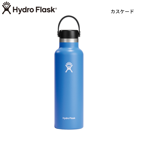 hyn☆*。様　マクラータ斑入り　鉢ごと速達 hyn☆*。様 マクラータ斑入り 鉢ごと速達