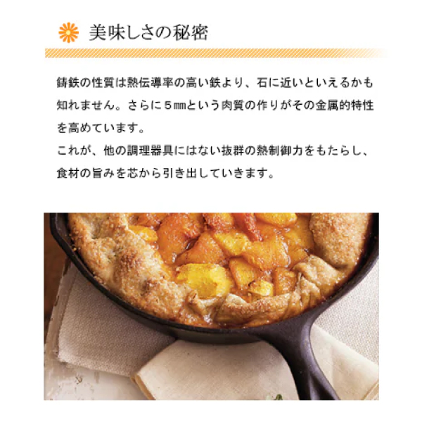 LODGE（ロッジ） スキレット 9インチ 6点 セット LODGE L6SK3 訳あり