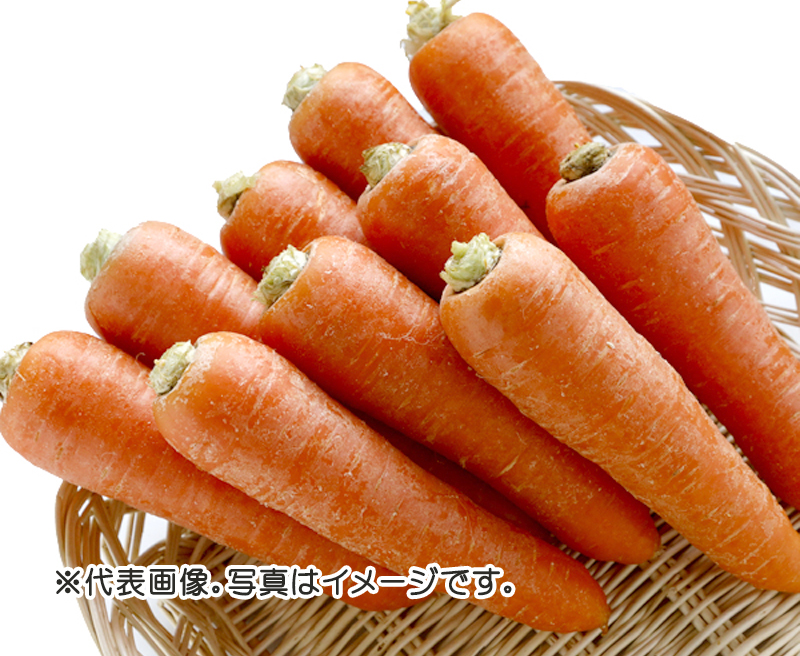 carrot_txt.jpg