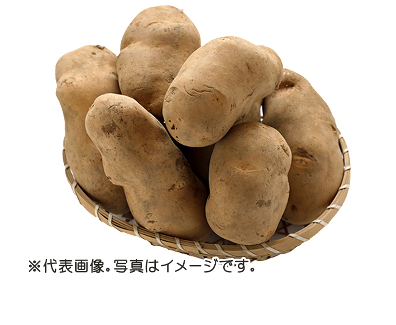 potato_txt.jpg