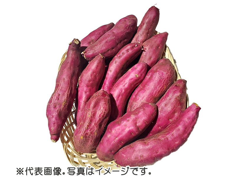 国産 さつまいも Ｌ〜２Ｌ 5ｋｇ ＊ランク　A【　】B【　】C【〇】サツマイモ 焼きいも 野菜 新鮮