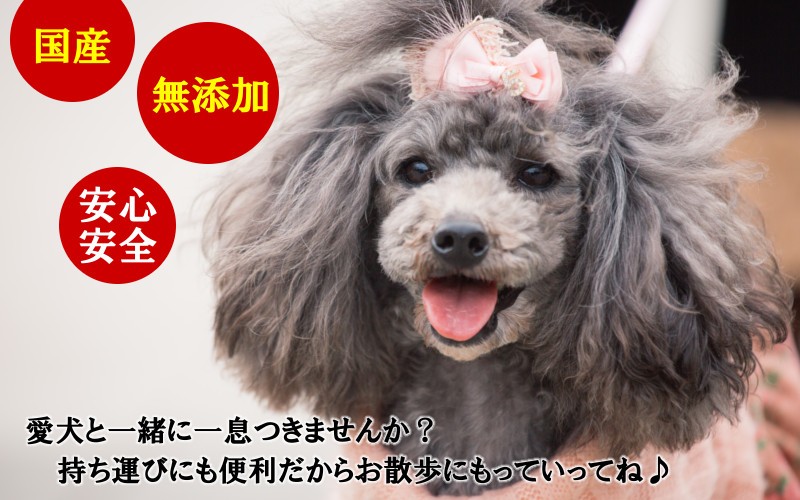 愛犬と一緒に