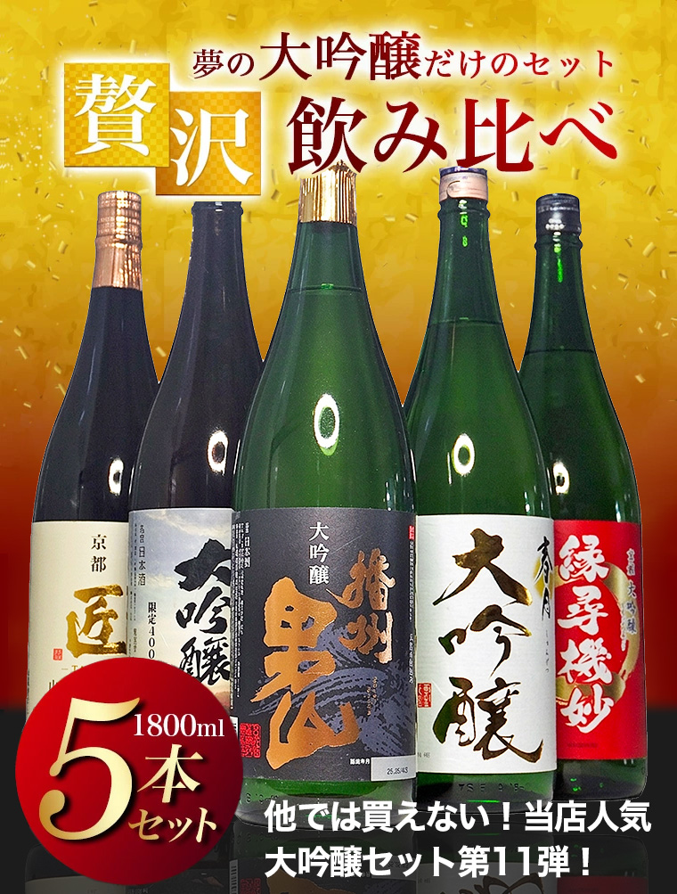 厳選日本酒1800ml 5本セット6月最新入荷分 日本酒 飲み比べ 大吟醸 だけの セット 1800ml 5本 一升瓶 辛口 家飲み