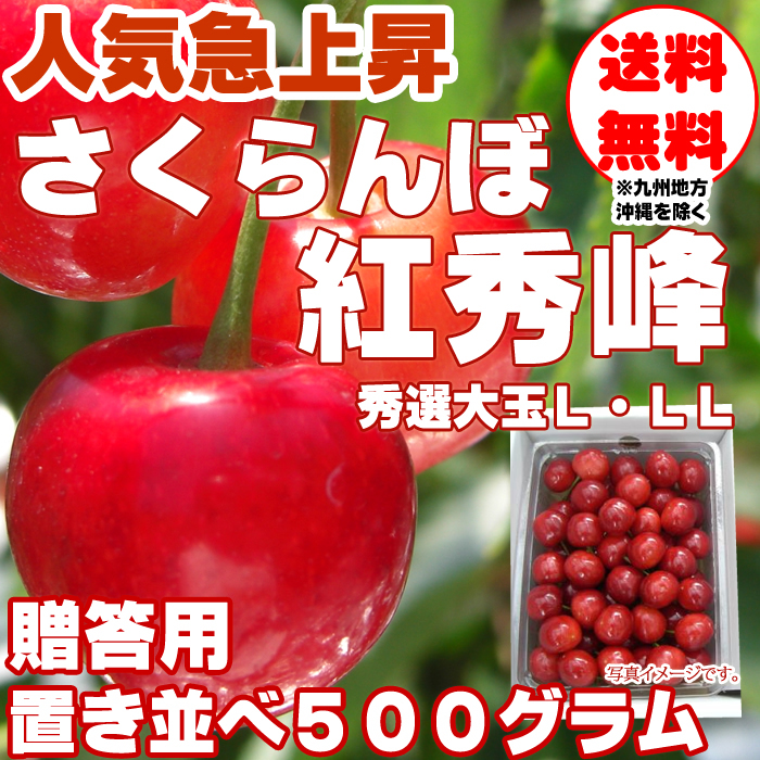 予約販売 さくらんぼ 紅秀峰 秀品 置き並べ L・LL 1kg 山形県東根産 