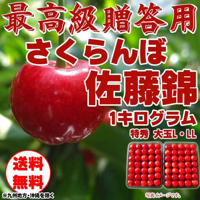 さくらんぼ 佐藤錦 Lサイズ以上 1kg 特秀 山形県東根産 [佐藤錦手詰め