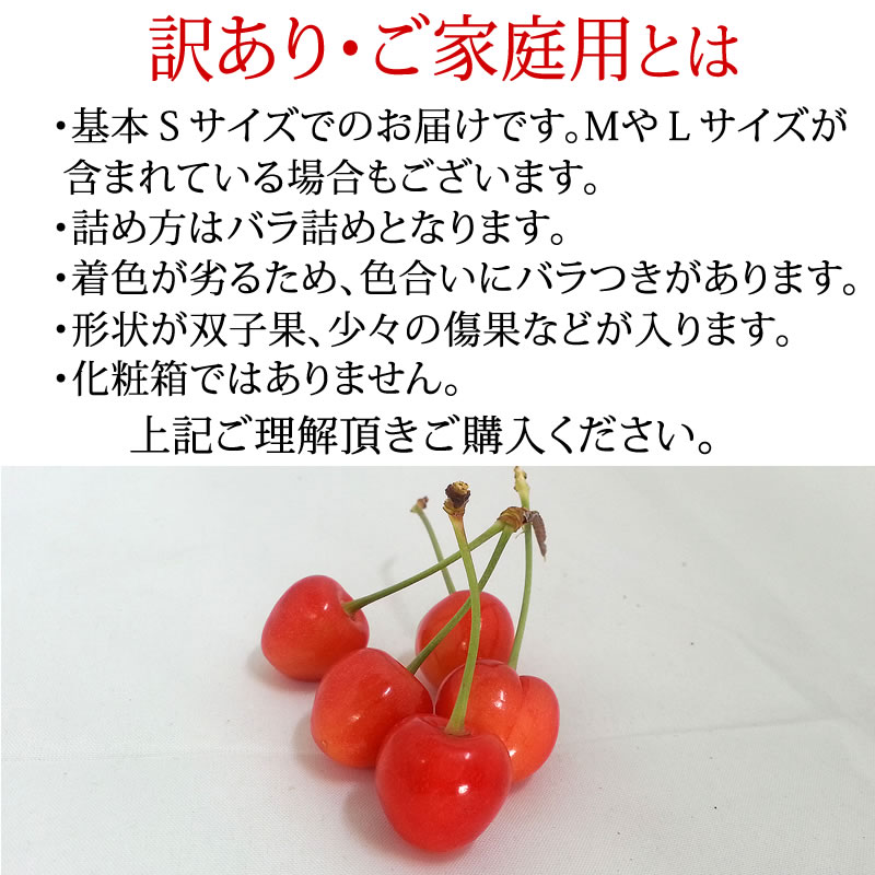 佐藤錦さくらんぼ