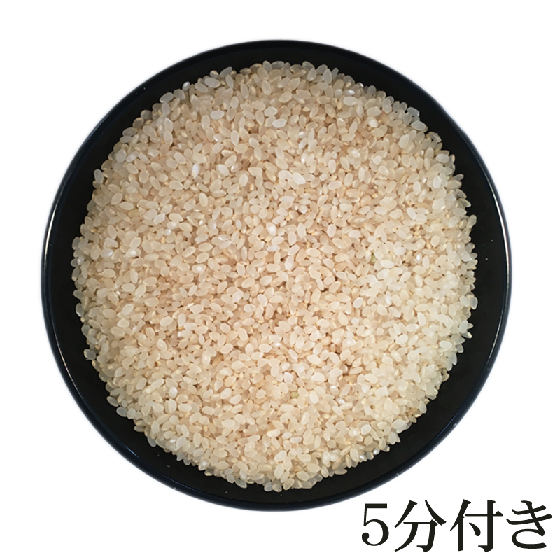 米 お米 10kg×3 銀河のしずく 玄米30kg 令和5年産 岩手県産 白米・無洗米・分づきにお好み精米 送料無料 当日精米