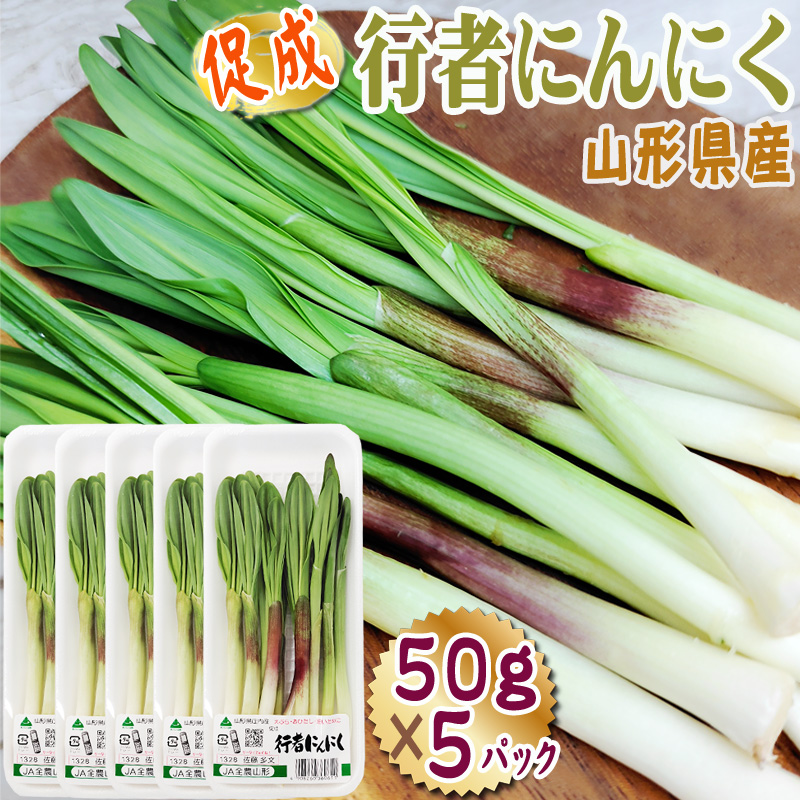 行者にんにく　専用 gyosha-5pc-0001.jpg