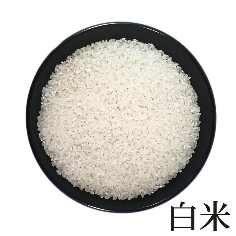 米 お米 雪若丸 玄米10kg (5kg袋×2) ゆきわかまる 令和4年産 山形産 白米・無洗米・分づきにお好み精米 送料無料 当日精米  うるち米（精白米）